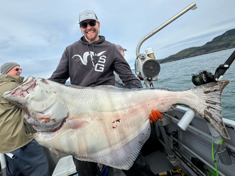 Alaska halibut