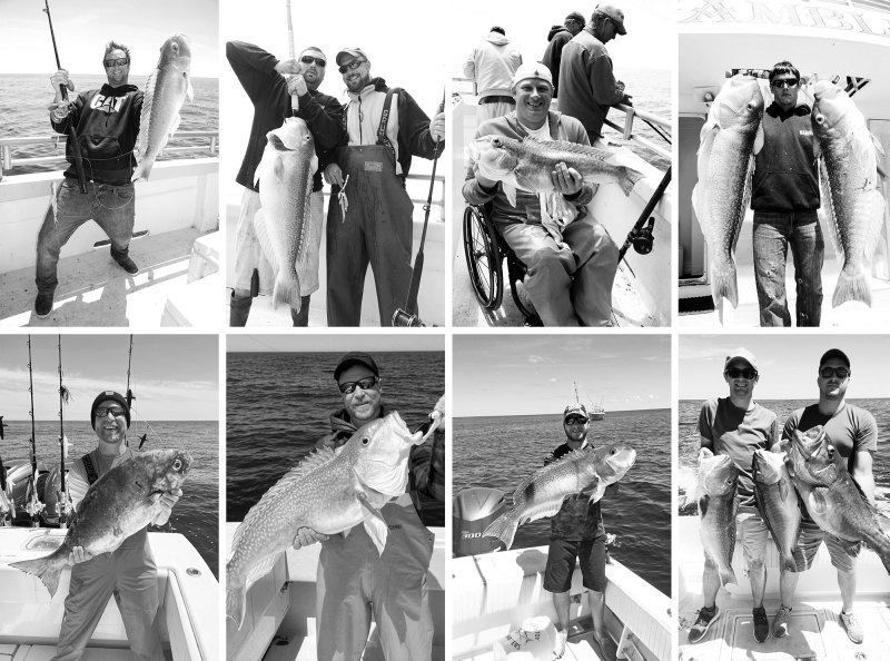A variety of fish caught deep-dropping