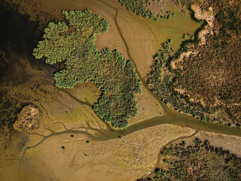 Mississippi Delta emptying into the Gulf