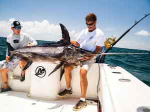 Large swordfish on the boat