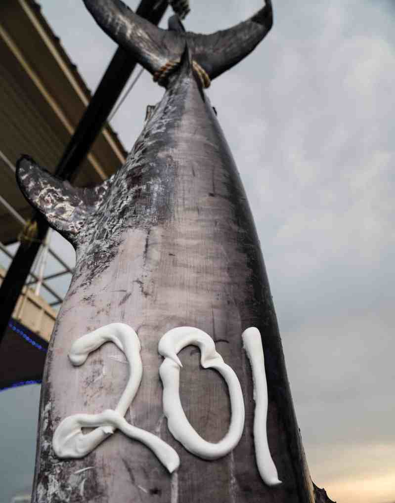 201-pound swordfish at the scale