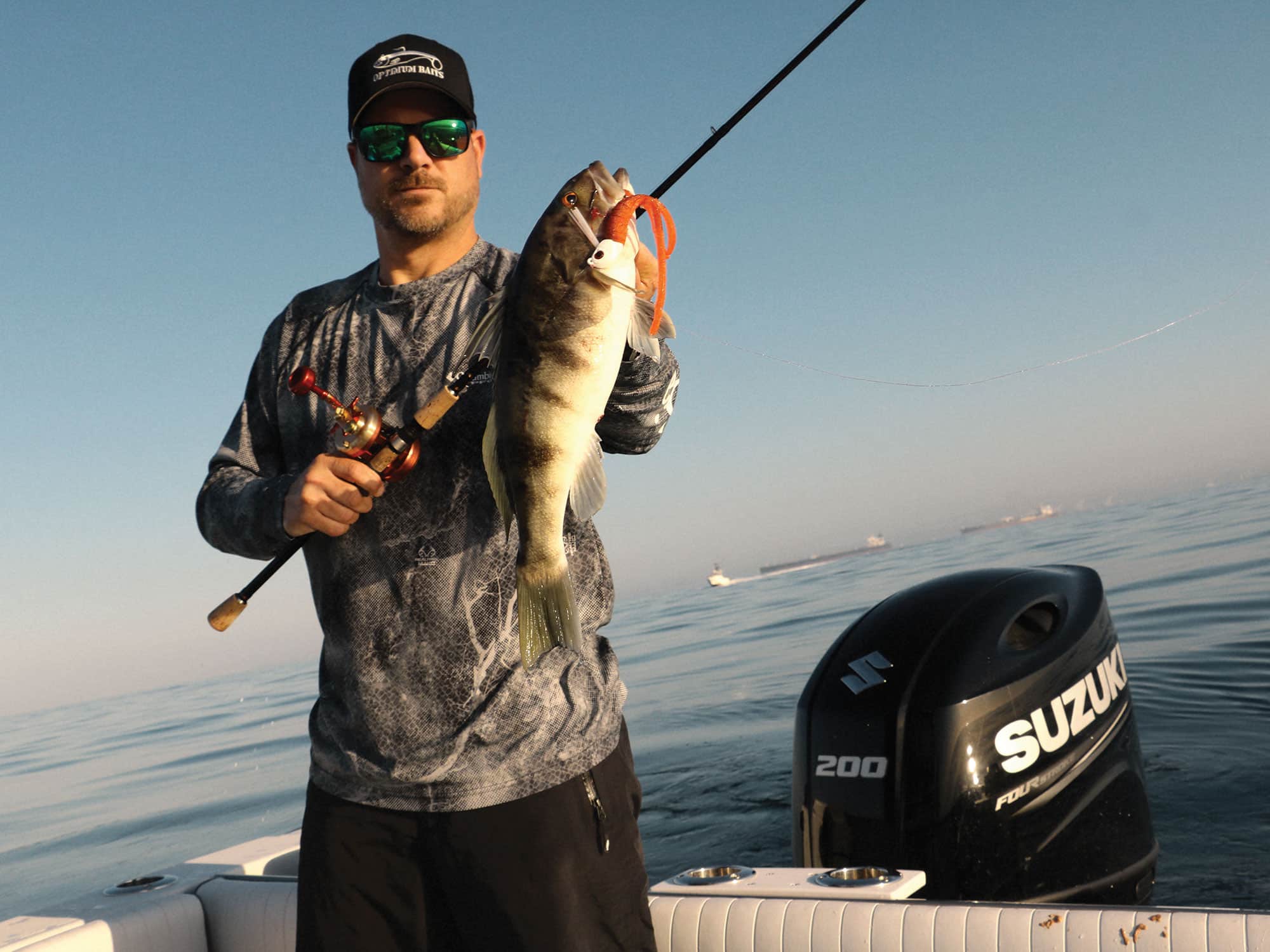 Barred sand bass caught using a soft plastic