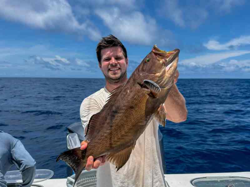 Grouper
