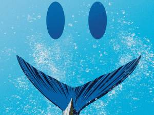 Atlantic bluefin tuna numbers improving