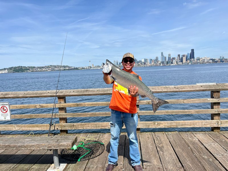 Salmon caught in Puget Sound