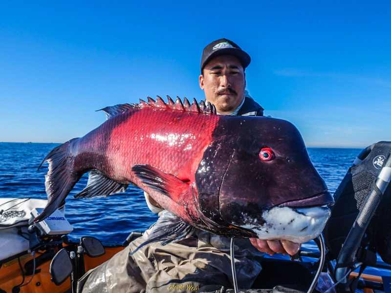 SoCal fishing off the beach