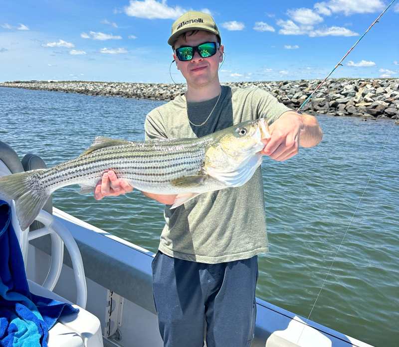 Striped bass caught near the city