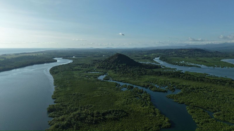 Trophy Bay estuaries