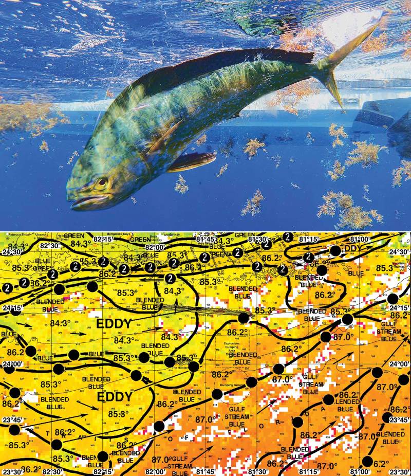 Satellite forecast for fishing