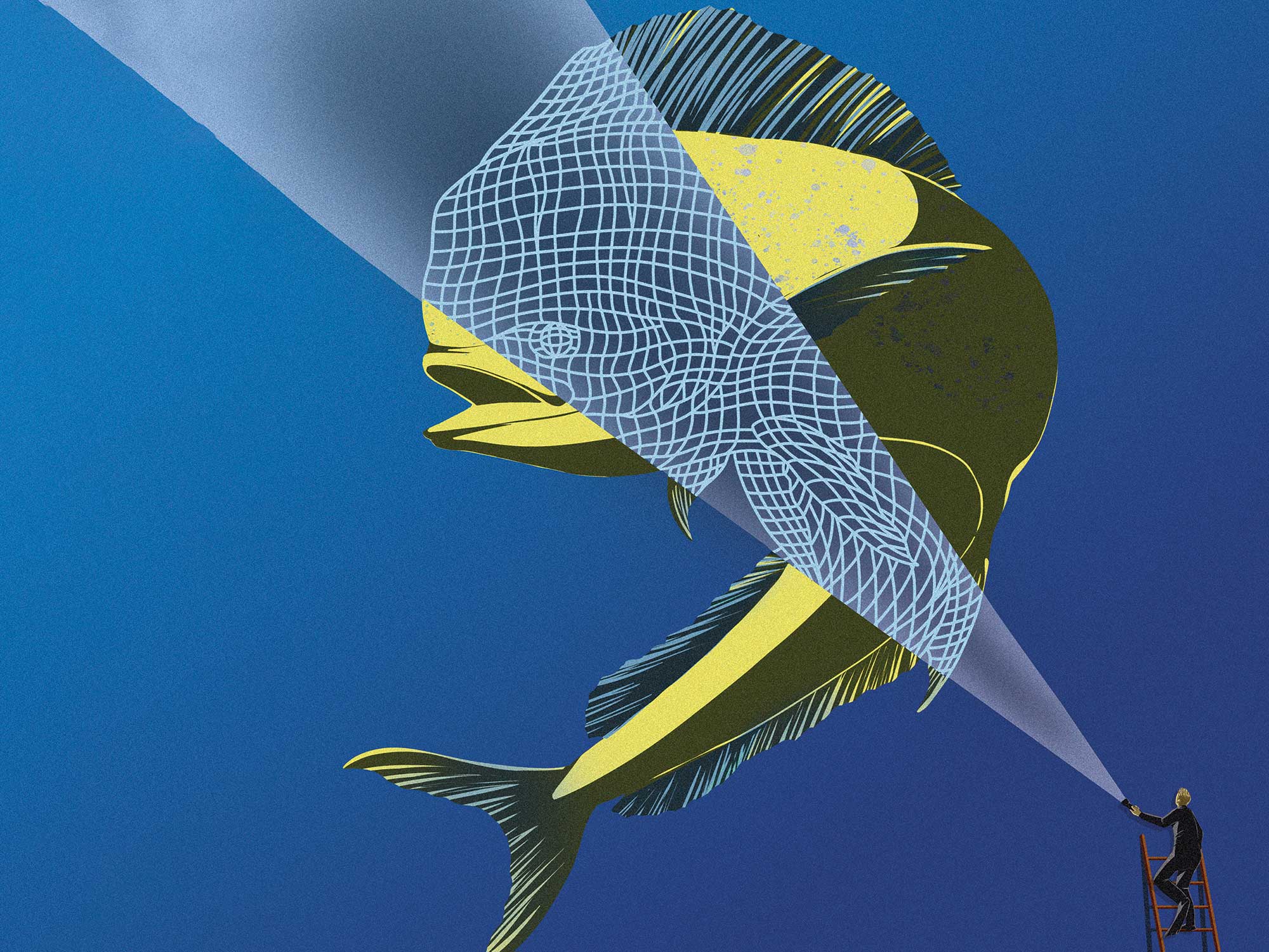 Dolphinfish Research facts