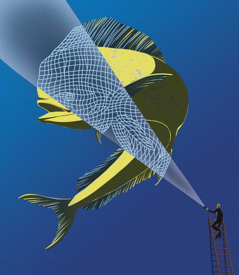Dolphinfish Research facts