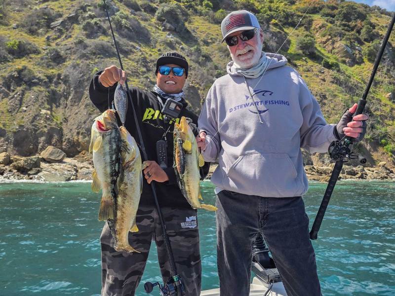 Anglers with multiple calico bass