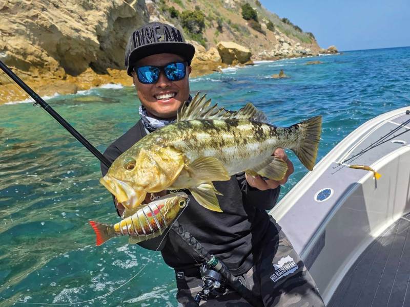 Calico bass caught near the coast