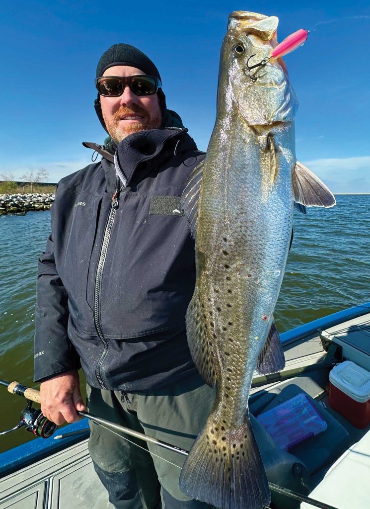 Large trout on a lure