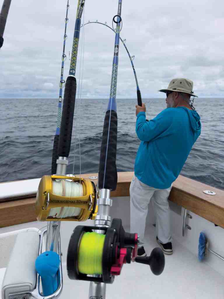 Angler fishing pitch bait