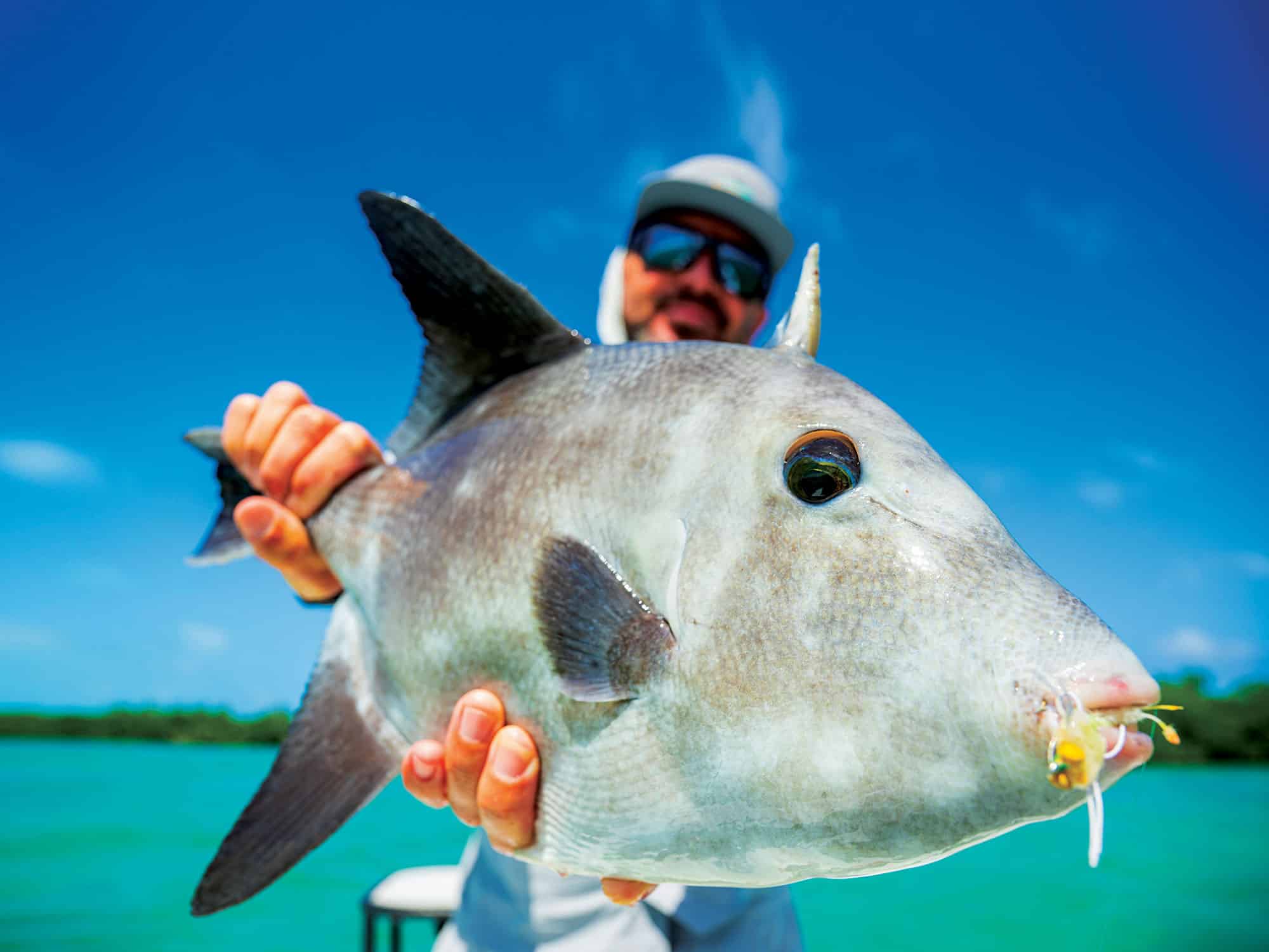Angler holding a large triggerfish