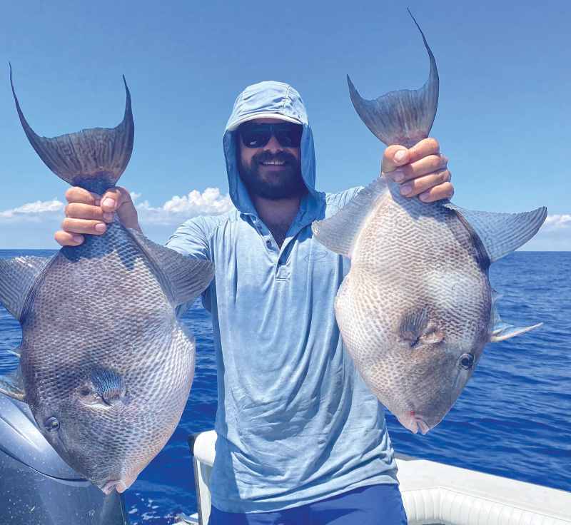 Angler with two gray triggerfish
